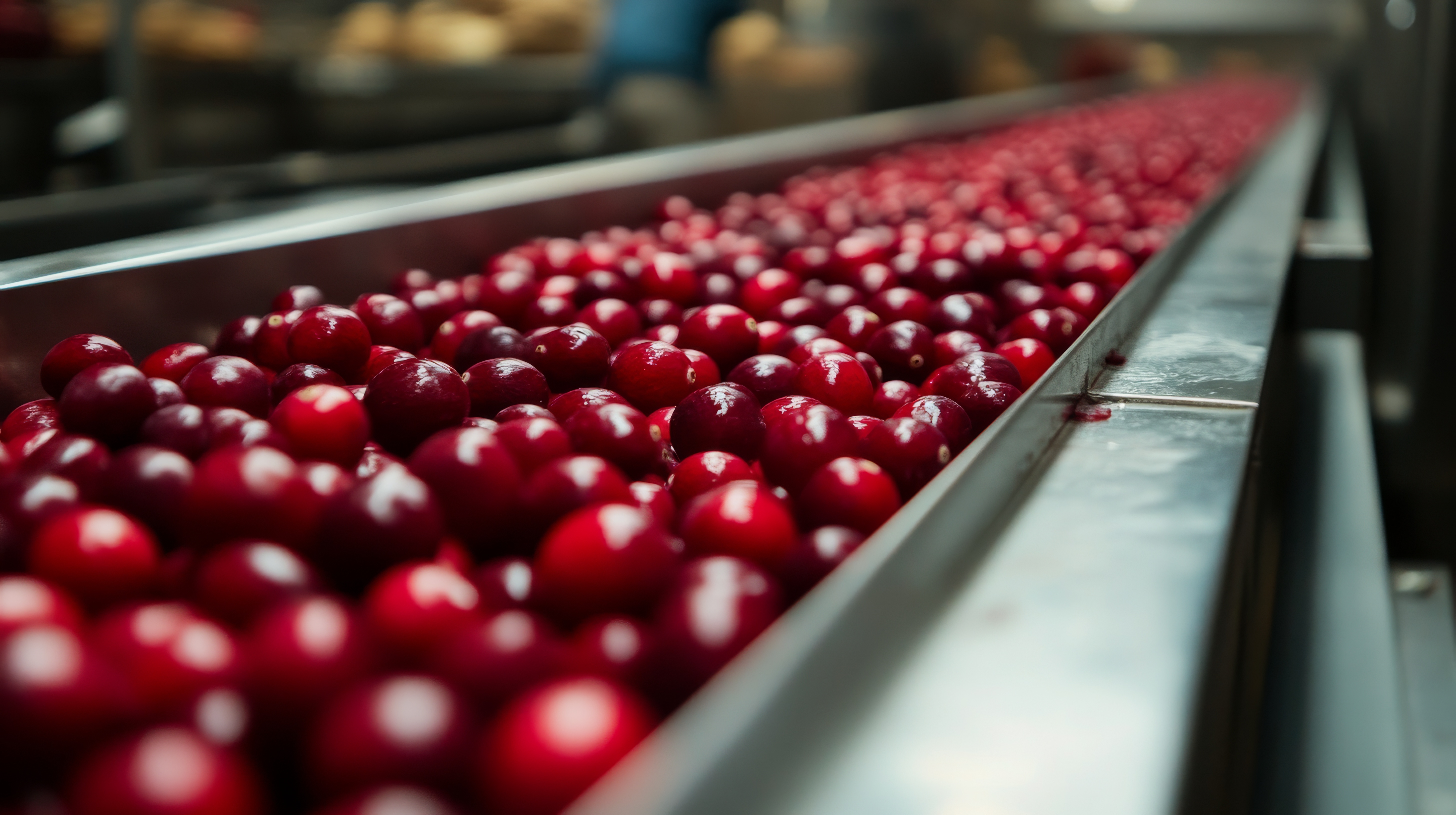 Adobe Stock 113331189131