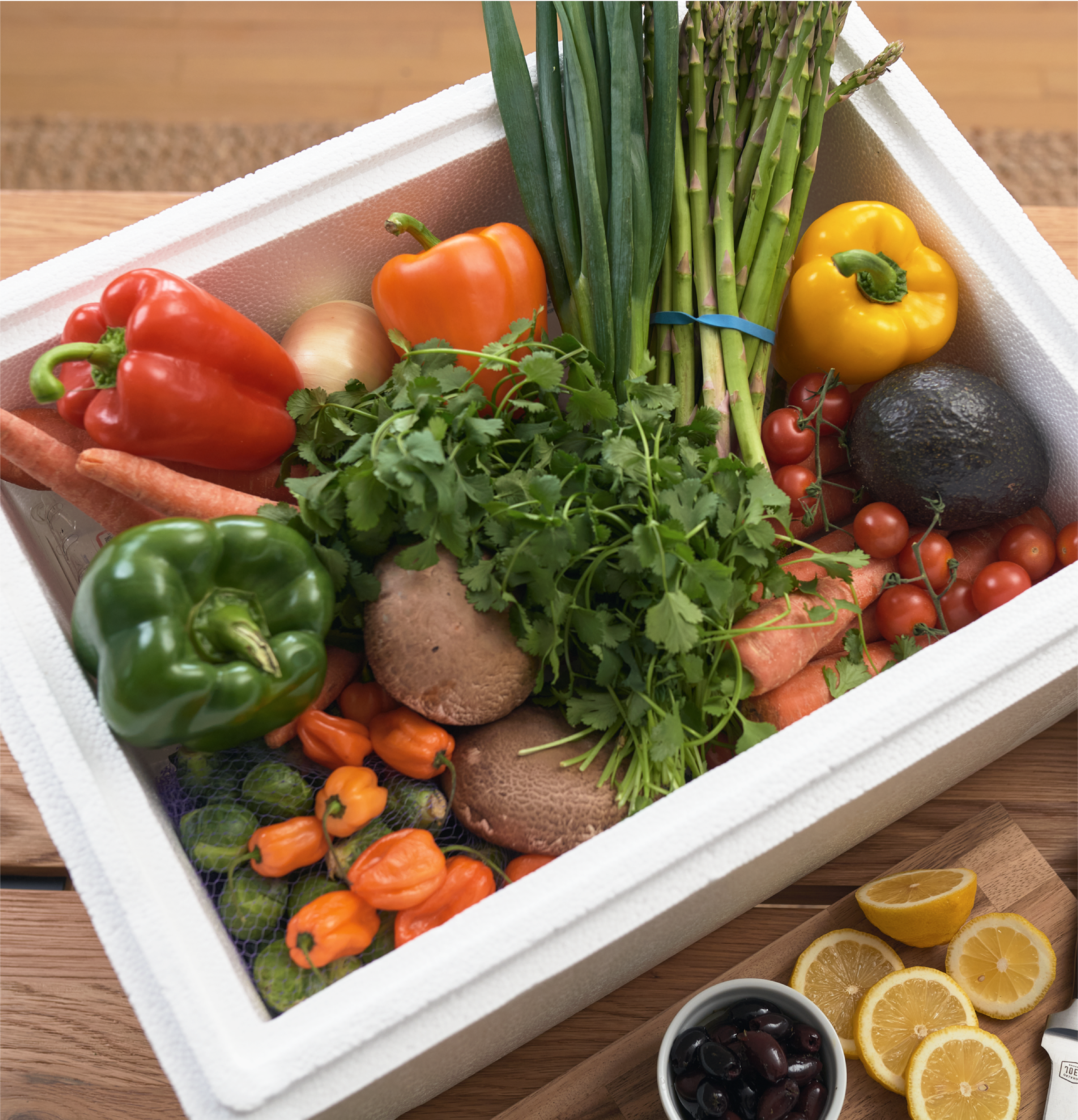 Cold Chain Gallery Image Template Tall Placeholder