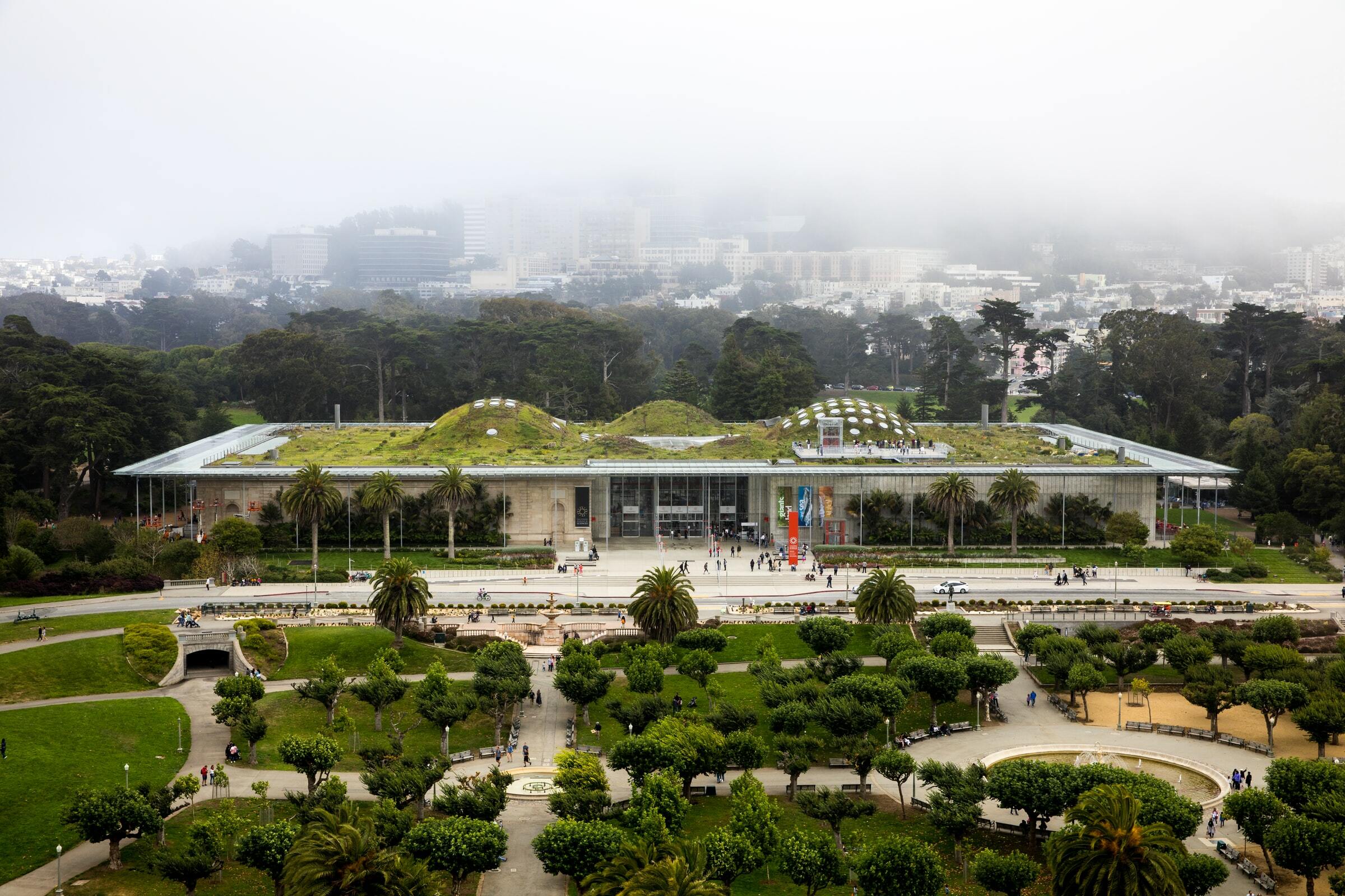 Green roof of California Academy of Sciences building in San Francisco